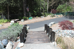 Little bridge
